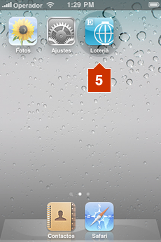 Paso 4