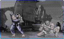 Street Fighters II