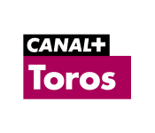 C+ Toros