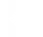 Calle 13