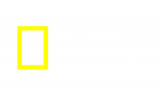 Nat Geo Wild