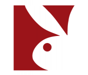 Playboy TV