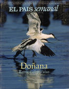 Portada de 05-04-1998